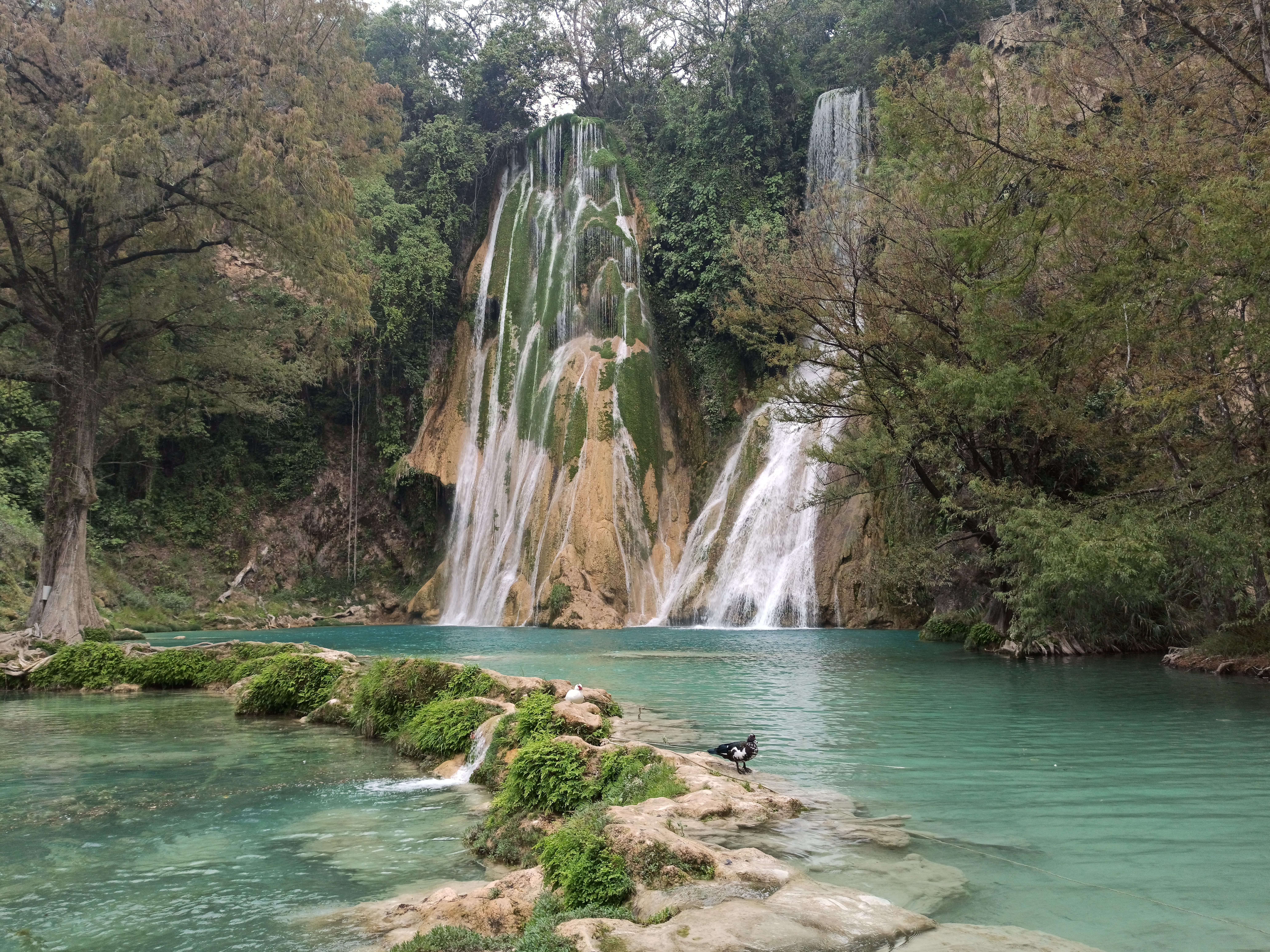 Huasteca de lujo: Tamul en helicóptero y glamping privado