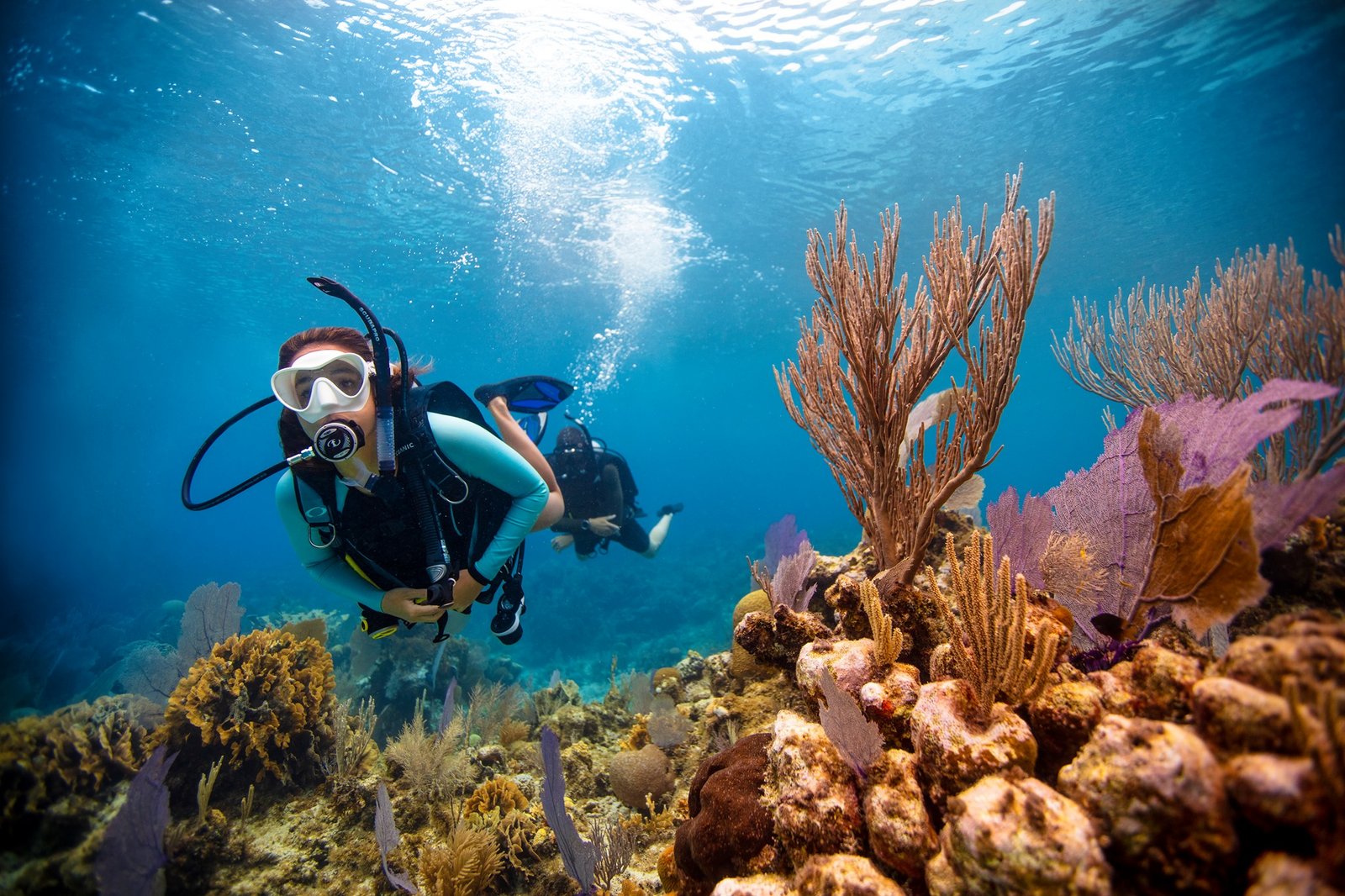 Tour de buceo por el mar de cortés en Sonora, saliendo desde la ciudad de San Carlos