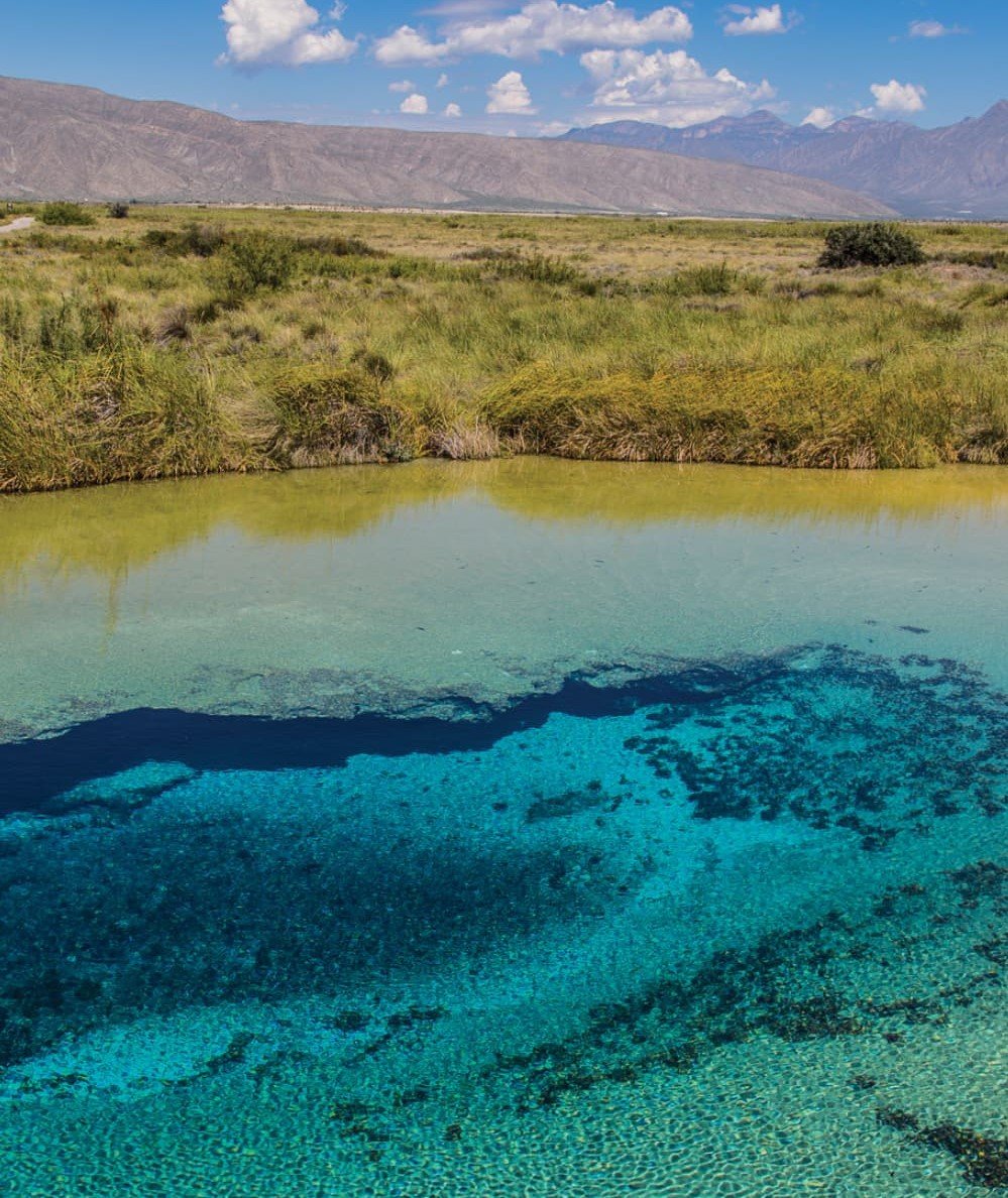 Tour a manantiales de cuatro ciénegas en Coahuila, saliendo desde la ciudad de Saltillo