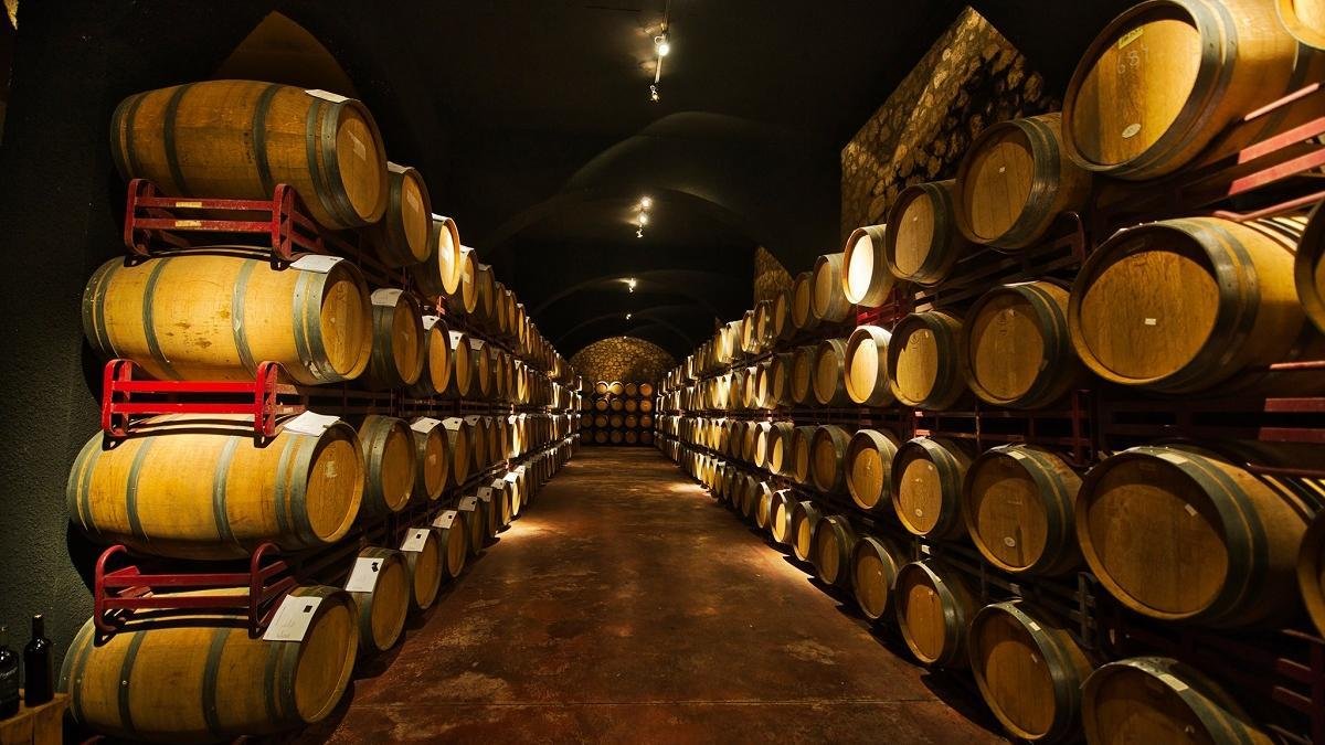 Tour a dos viñedos y bodega de vinos. Saliendo desde Guanajuato