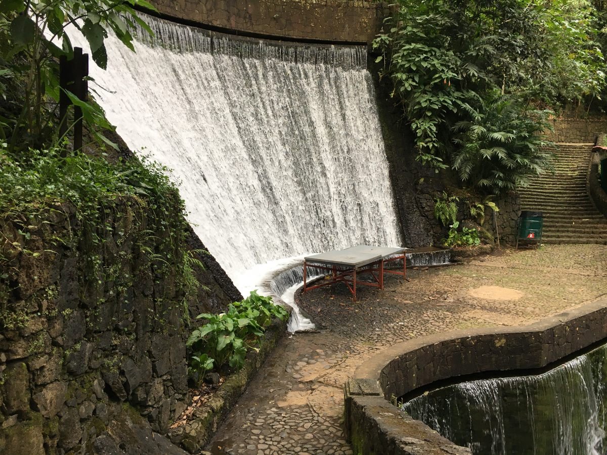 Tour al Parque Nacional de Uruapan, saliendo desde Morelia.