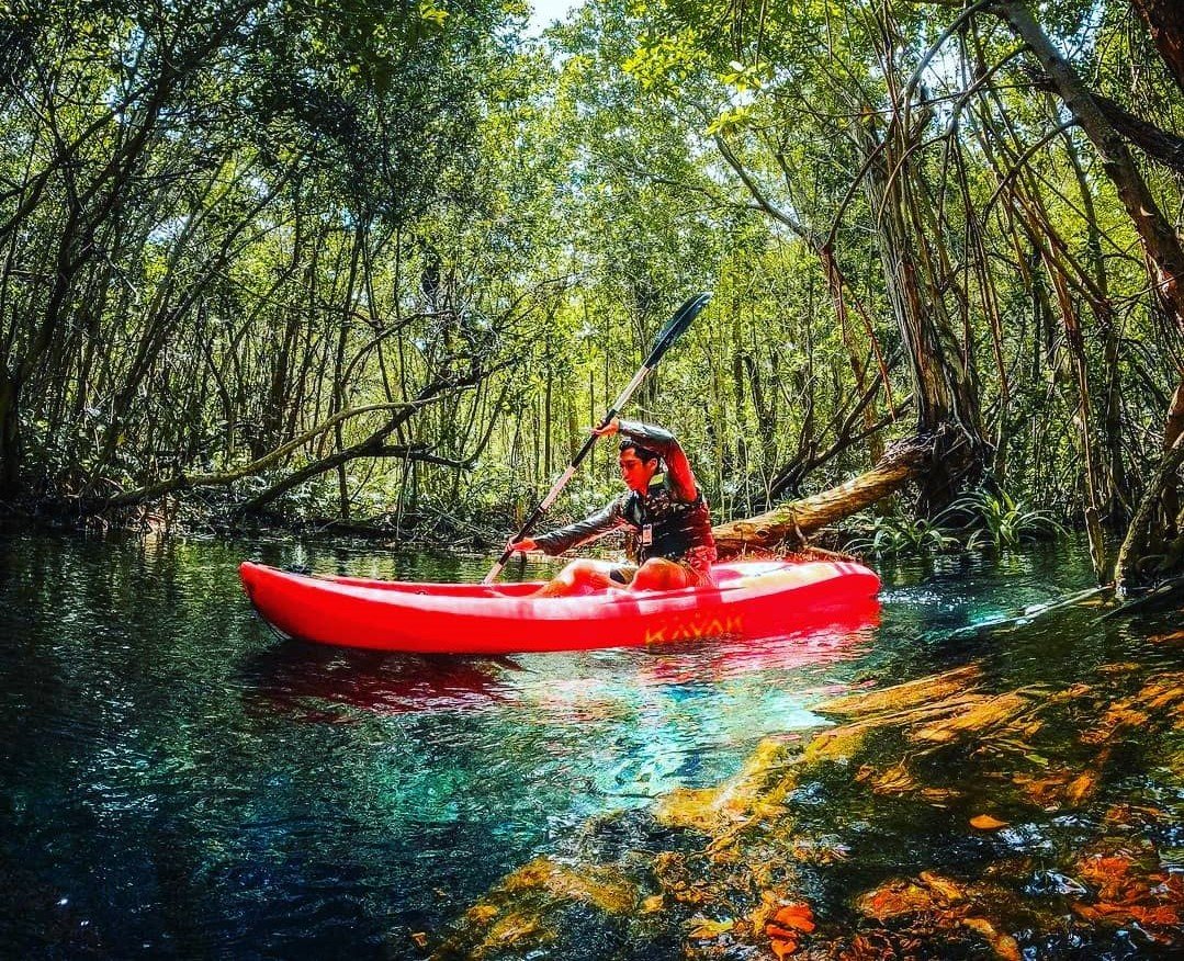 Pasadía en Sisal todo incluido (transporte redondo + tour snorkel en ojo de agua con kayak + comida en la playa)