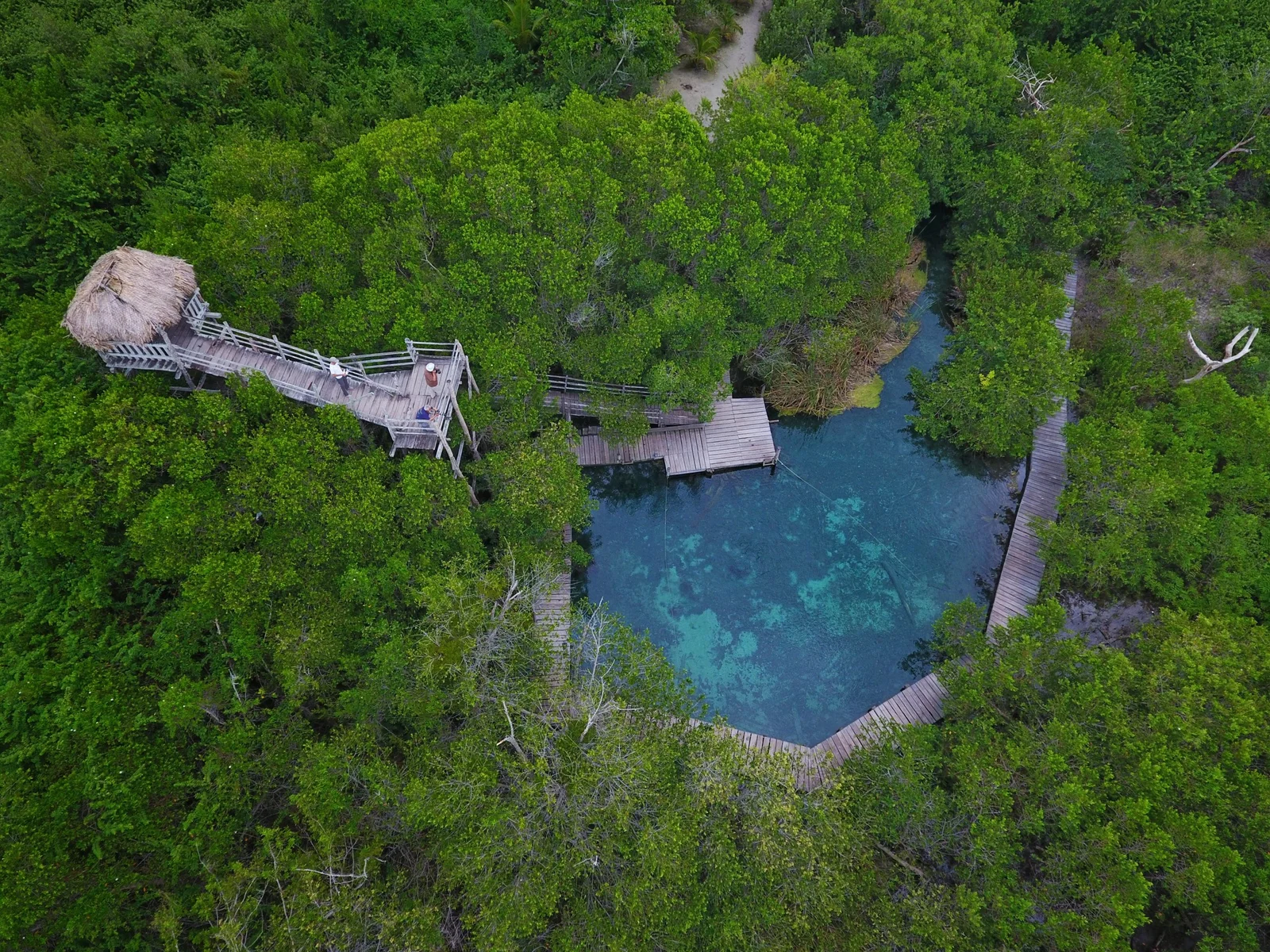 foto del cenote yalahau en holbox Mexico Expeditions Travel Platform