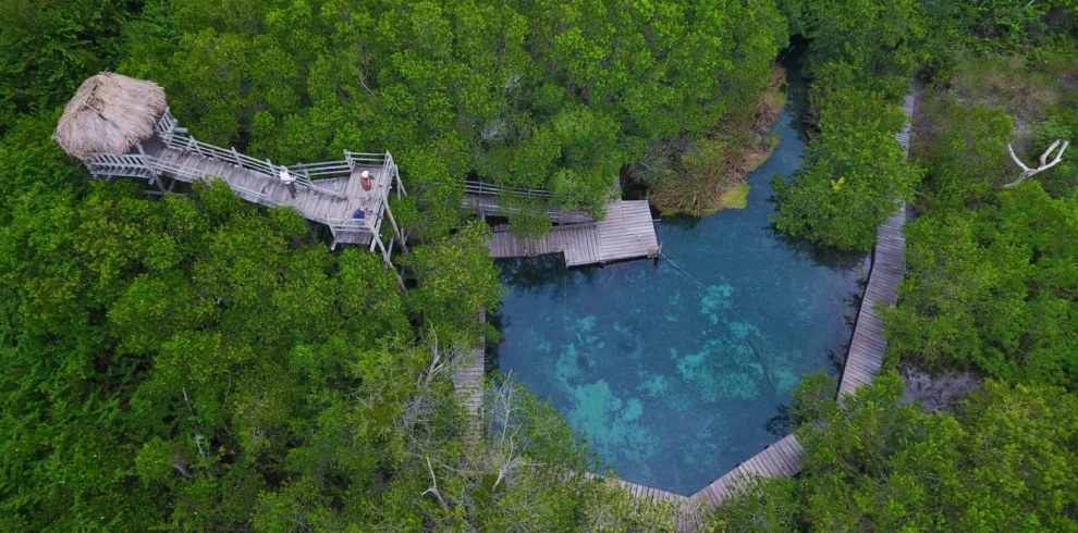 foto del cenote yalahau en holbox Mexico Expeditions Travel Platform